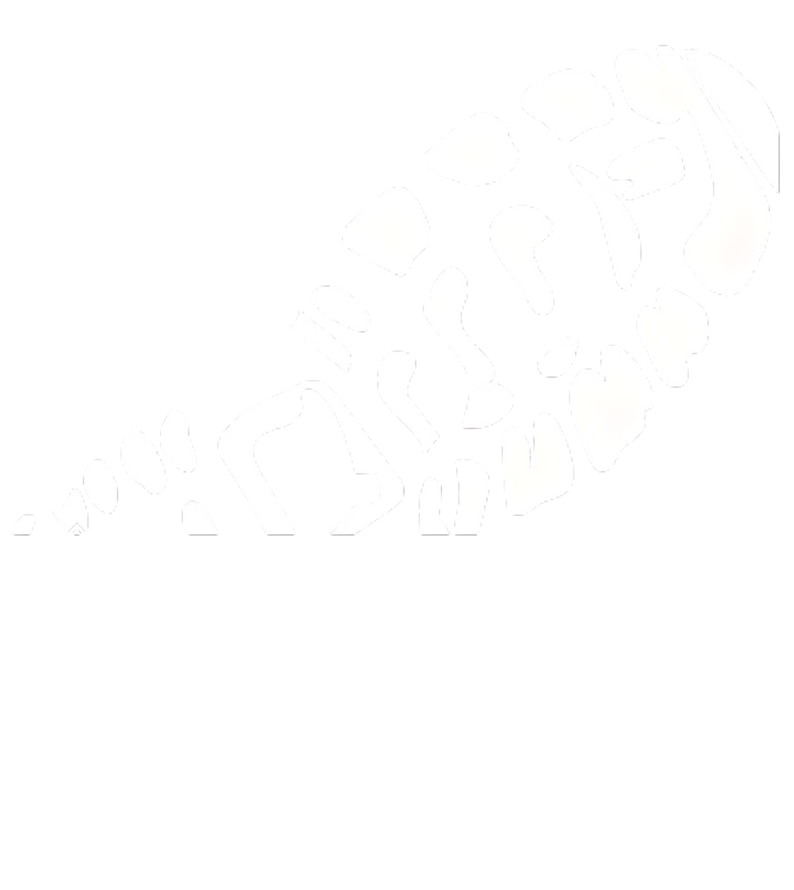 zapato